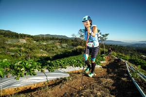 BIB: 14783, 
                            <button type="button" onclick="openModal(19118116)" class="btn btn-primary btn-sm float-right btn-popup" data-toggle="modal" data-target=".modal-high-quality">
                        <i class="fas fa-shopping-cart"></i> Add to Cart
                    </button>
                                            <button type="button" onclick="isThisMe(19118116, true)" class="btn btn-success btn-sm float-right btn-popup btn-isme hidden" data-toggle="tooltip" data-placement="bottom" title="นี่คือรูปของคุณใช่ไหม คลิกที่นี่เพื่อเอาเข้าอัลบั้ม">
                        <i class="fas fa-plus"></i> Add to album
                    </button>
                    <button type="button" onclick="isThisMe(19118116, false)" class="btn btn-warning btn-sm float-right btn-popup btn-isnotme hidden">
                        <i class="fas fa-ban"></i> Remove from album
                    </button>